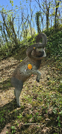 About Gallery Image 2