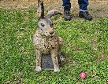 About Gallery Image 4